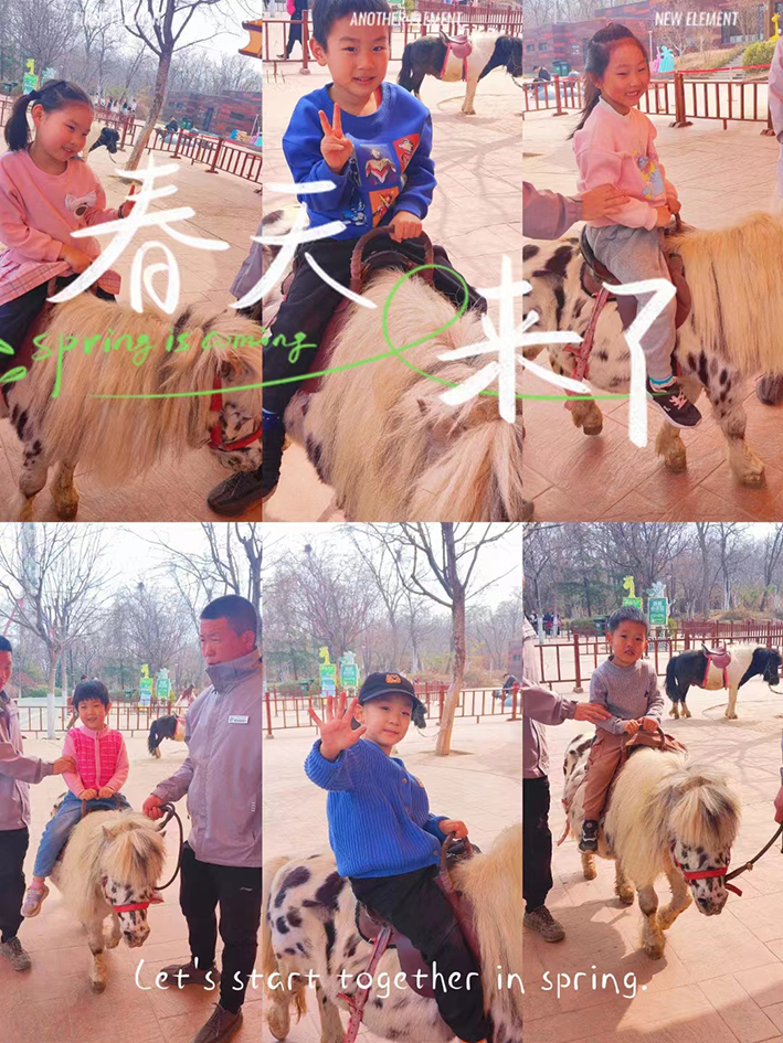 體驗小角馬.jpg